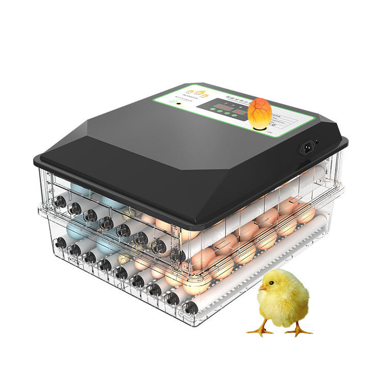 Poultry Incubator - 広く使用されている自動孵卵器、小型ミニデュアルパワー鶏肉鶏鳩卵孵卵器