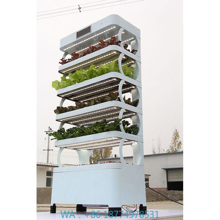 Farming System & Sustainable Agriculture - 家庭用ハイドロポニック栽培システム新登場 室内スマートガーデン ハイドロポニックインテリジェント垂直栽培システム