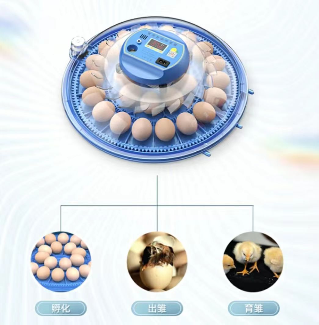 Poultry Incubator - 20/24/36/56/96/112個の卵に対応した鶏卵孵卵器 全自動家禽卵孵卵器