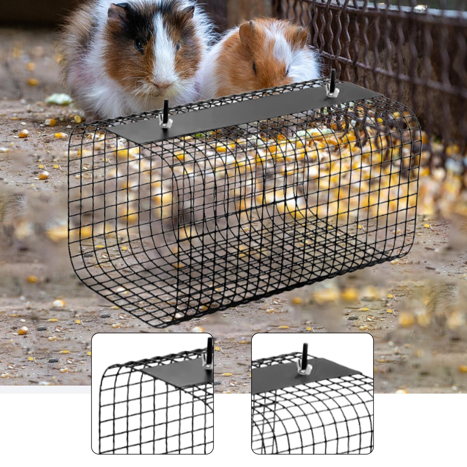 フェレット、ハムスター用トンネル型隠れ家、小型動物用頑丈ケー - Rabbit Cage Wire のレビューと価格