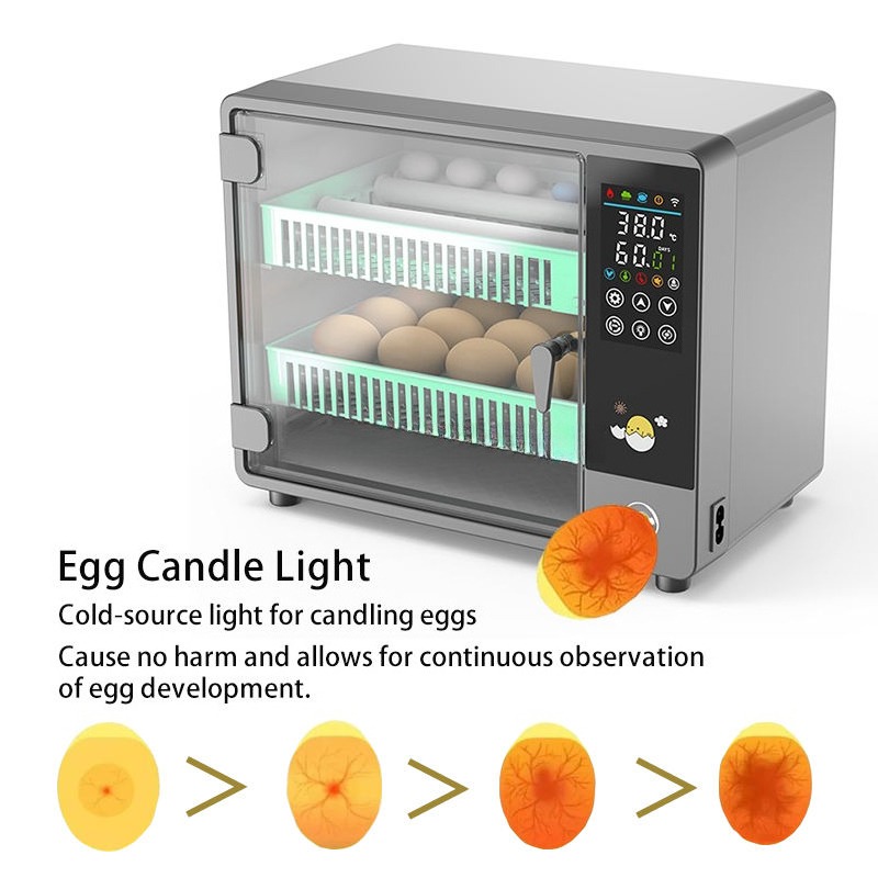 工場直販 2026 全自動卵孵卵器 デジタルインテリジェント - Poultry Incubator のレビューと価格