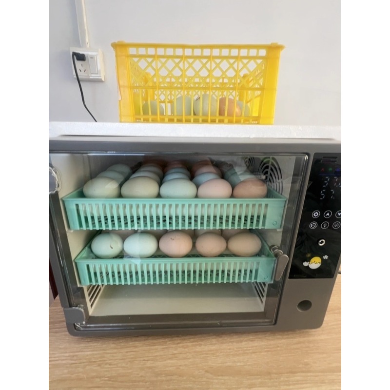 工場直販 2026 全自動卵孵卵器 デジタルインテリジェント - Poultry Incubator のレビューと価格