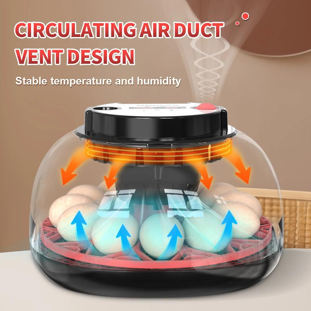 12個の卵を孵化させる自動回転式デジタル孵卵器（鶏、ウズラ、 - Poultry Incubator のレビューと価格