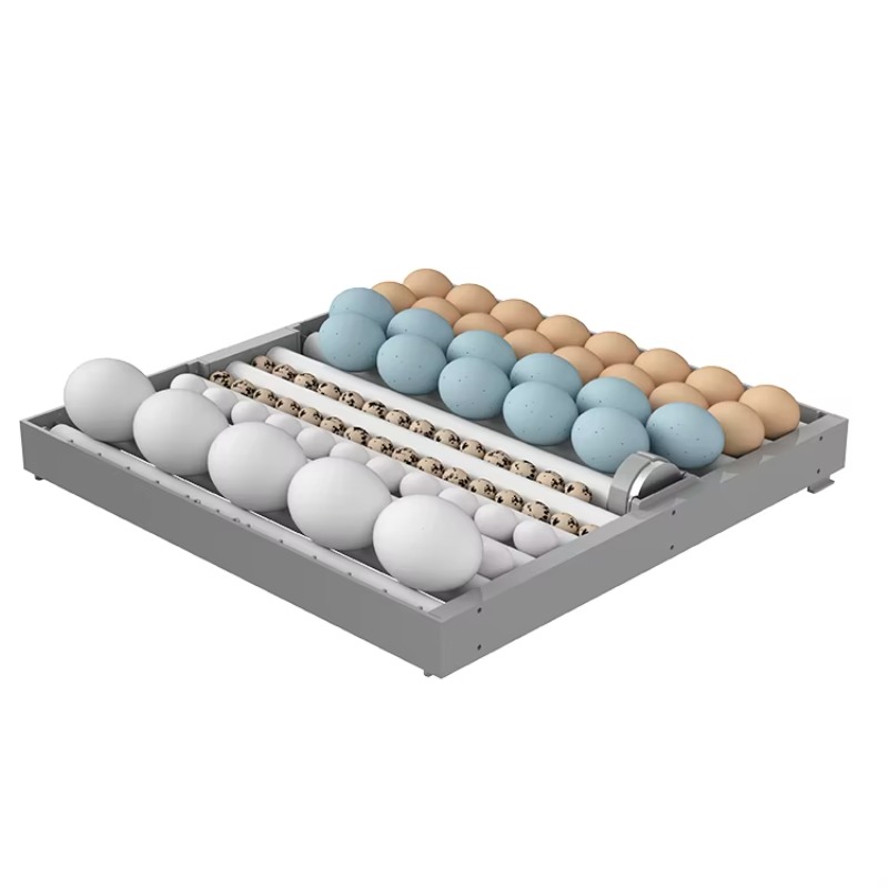 2026年式 7層448卵 インテリジェントインキュベーター - Poultry Incubator のレビューと価格