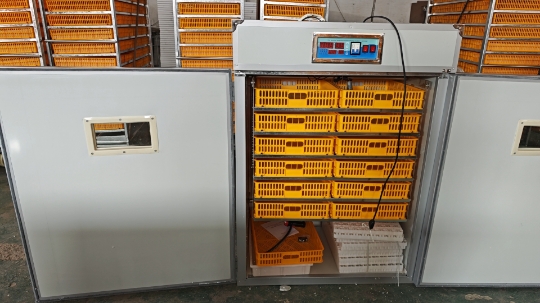 大型1000卵孵卵器、鶏、アヒル、その他の家禽飼育に適した全 - Poultry Incubator のレビューと価格