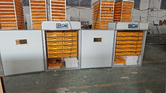 大型1000卵孵卵器、鶏、アヒル、その他の家禽飼育に適した全 - Poultry Incubator のレビューと価格