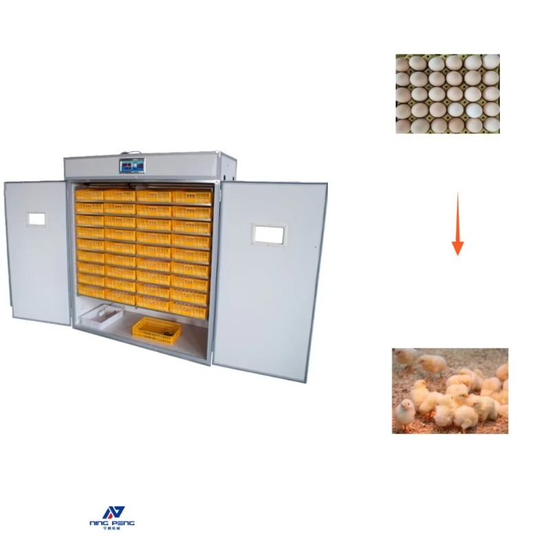 家禽用卵孵化機 ソーラー式卵孵化機 500卵孵化機 - Poultry Incubator のレビューと価格
