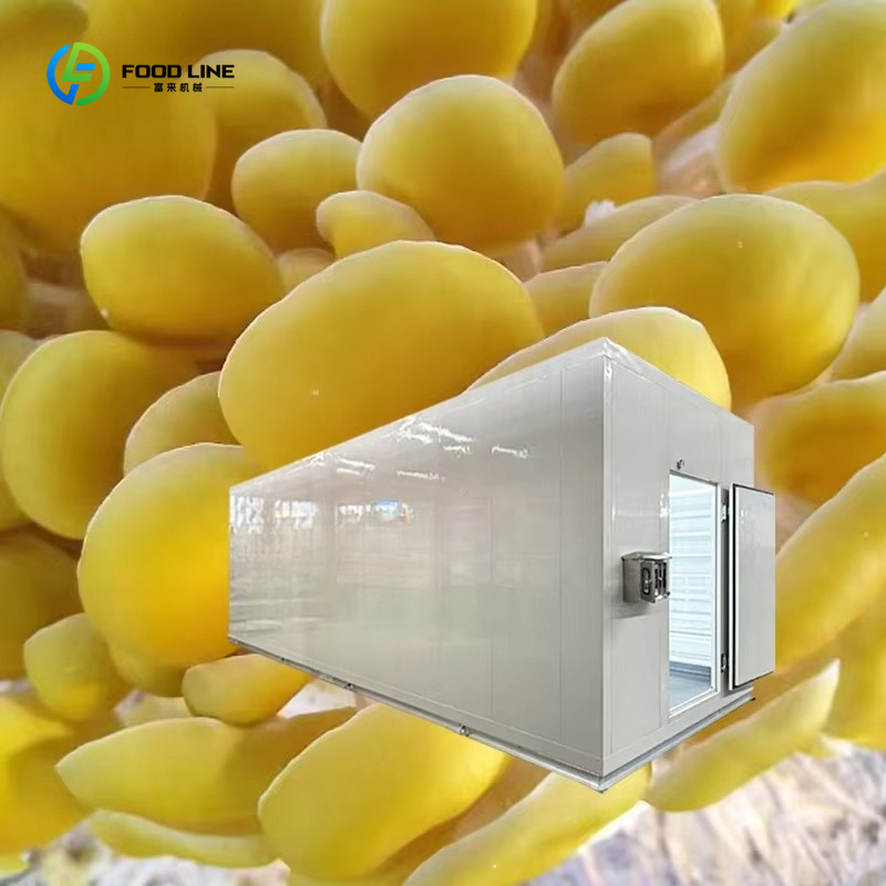 スマートきのこ栽培カプセル技術を駆動する農業食用菌類栽培シス - Smart Farming Technology In Agriculture のレビューと価格