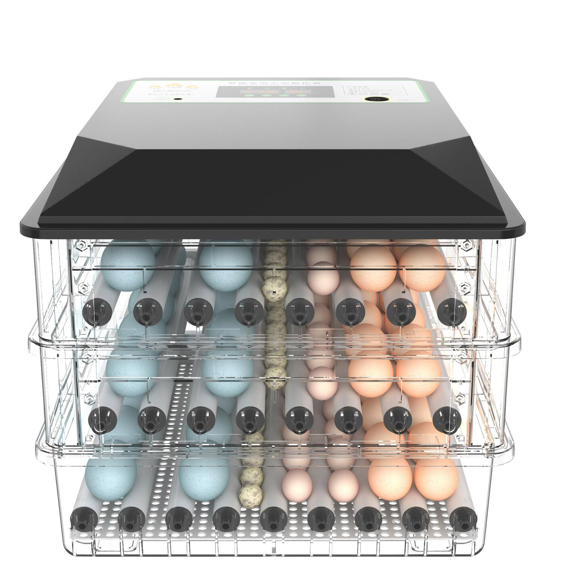 広く使用されている自動孵卵器、小型ミニデュアルパワー鶏肉鶏鳩 - Poultry Incubator のレビューと価格