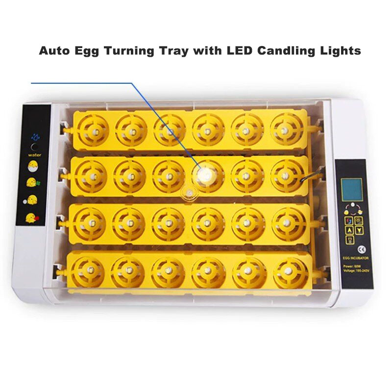 全自動卵インキュベーター デジタル温度制御孵卵器 家禽鳥類繁 - Poultry Incubator のレビューと価格