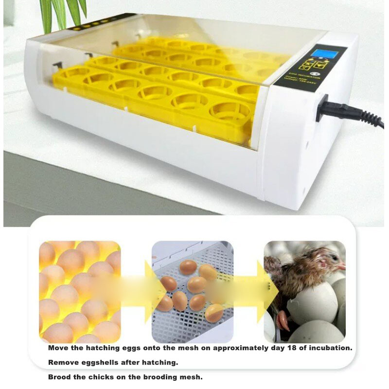 全自動卵インキュベーター デジタル温度制御孵卵器 家禽鳥類繁 - Poultry Incubator のレビューと価格