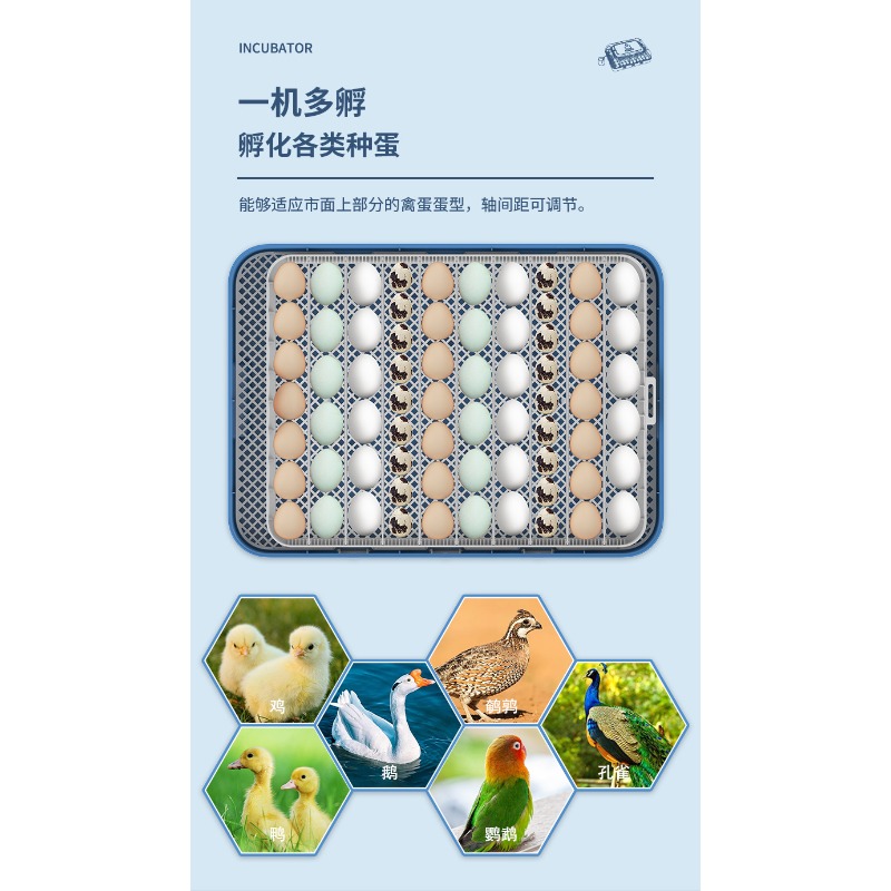 自動孵卵器デュアル電源スマート温度湿度制御装置家庭用家禽鶏ア - Poultry Incubator のレビューと価格