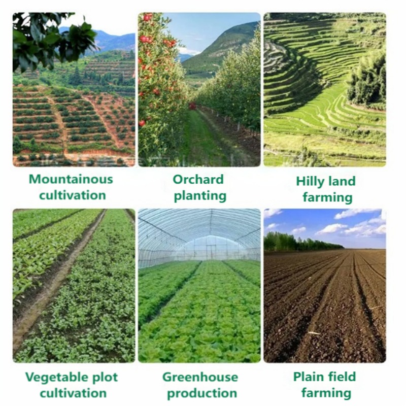 手押し式野菜播種機、多列精密播種機、ニンジン、玉ねぎ、キャベ - Agriculture Farming Tool のレビューと価格