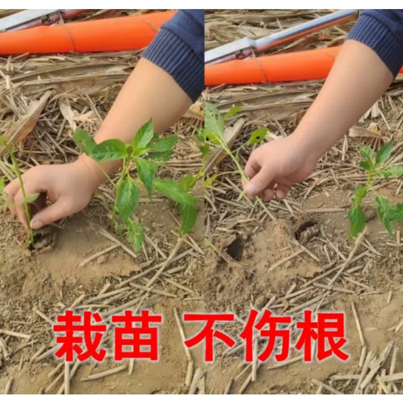 農業用苗移植機、トマトやピーマンの苗植え用園芸植栽ツール - Agriculture Farming Tool のレビューと価格