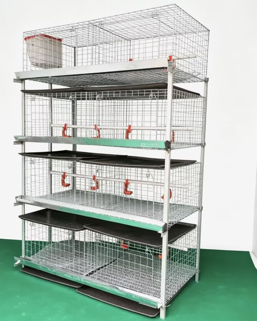 新型H型ブロイラー鶏ケージシステム バッテリー養鶏場 4段2 - Farming System & Sustainable Agriculture のレビューと価格