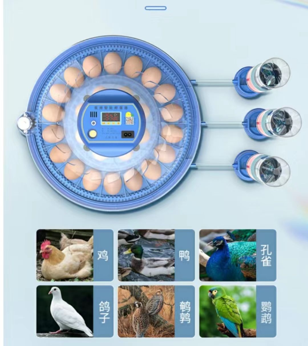 20/24/36/56/96/112個の卵に対応した鶏卵孵卵 - Poultry Incubator のレビューと価格