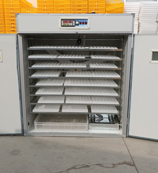 20/24/36/56/96/112個の卵に対応した鶏卵孵卵 - Poultry Incubator のレビューと価格
